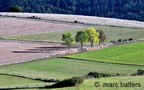 causse mejean